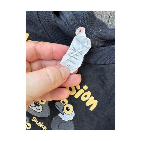 Allstyle Black Graphic Print Tee Shirt T-Shirt Night Vision Tadoussac Quebec 2T - Picture 3 of 5